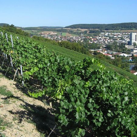 Weinstube Schwalbennest Hotel Karlstadt Exterior photo