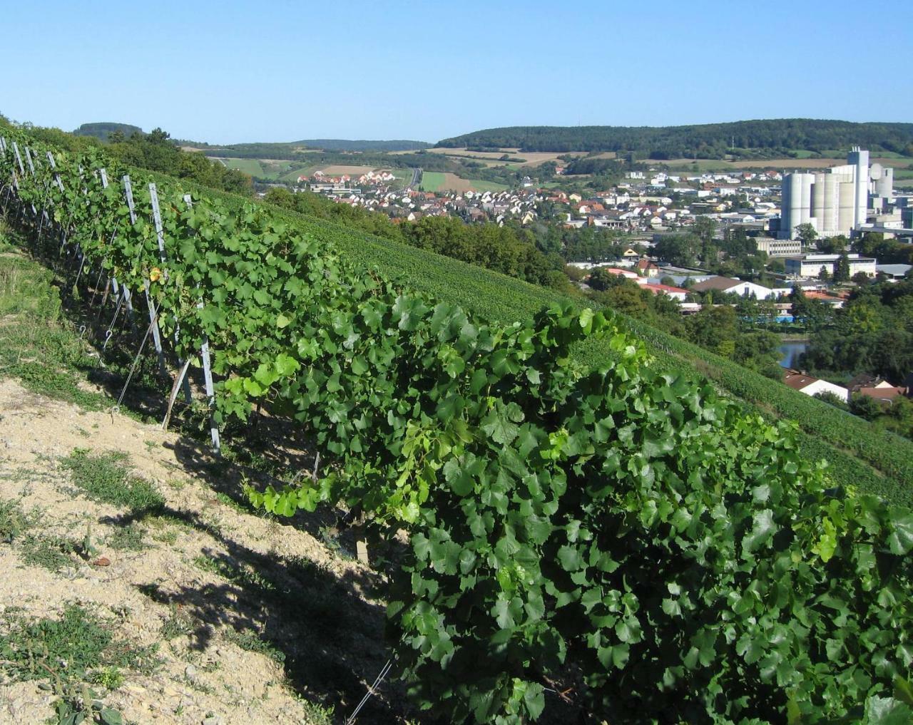 Weinstube Schwalbennest Hotel Karlstadt Exterior photo